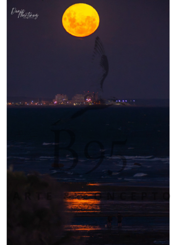 https://b95arteyconcepto.com/wp-content/uploads/2025/07/Foto-Artista-1.jpg